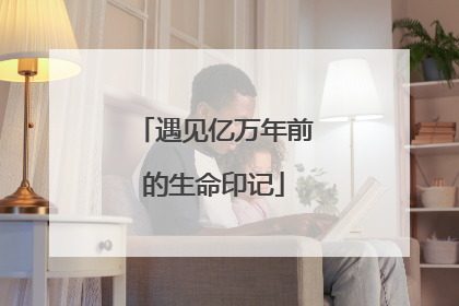 遇见亿万年前的生命印记
