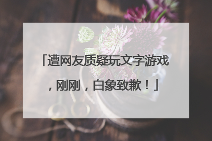 遭网友质疑玩文字游戏，刚刚，白象致歉！