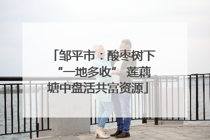 邹平市：酸枣树下“一地多收” 莲藕塘中盘活共富资源