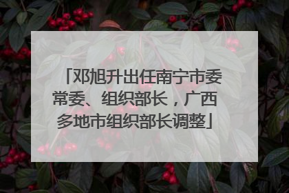 邓旭升出任南宁市委常委、组织部长，广西多地市组织部长调整