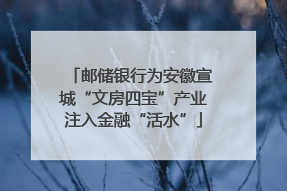 邮储银行为安徽宣城“文房四宝”产业注入金融“活水”