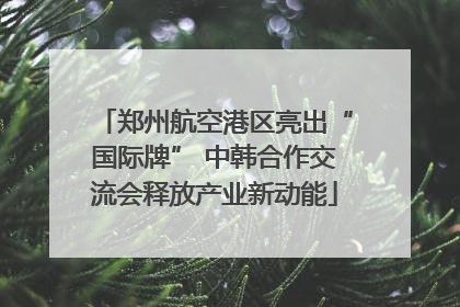 郑州航空港区亮出“国际牌” 中韩合作交流会释放产业新动能