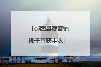 郧西县观音镇桃子喜获丰收