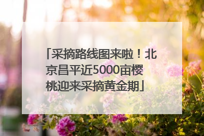 采摘路线图来啦！北京昌平近5000亩樱桃迎来采摘黄金期