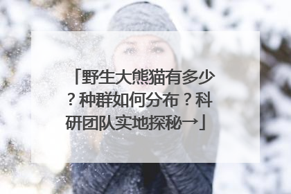 野生大熊猫有多少？种群如何分布？科研团队实地探秘→