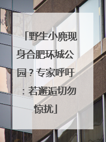 野生小麂现身合肥环城公园？专家呼吁：若邂逅切勿惊扰