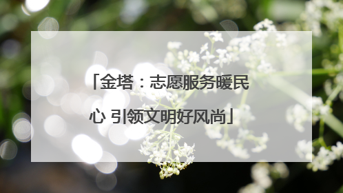 金塔：志愿服务暖民心 引领文明好风尚