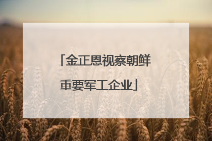 金正恩视察朝鲜重要军工企业