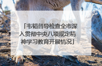 韦韬督导检查全市深入贯彻中央八项规定精神学习教育开展情况