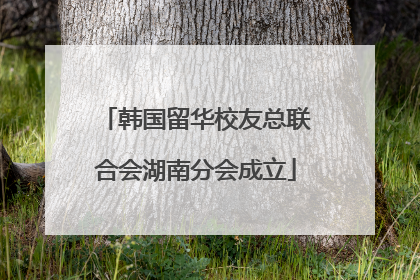 韩国留华校友总联合会湖南分会成立