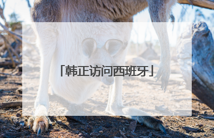 韩正访问西班牙