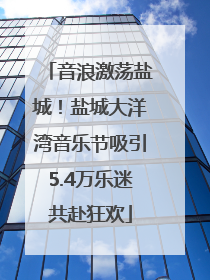 音浪激荡盐城！盐城大洋湾音乐节吸引5.4万乐迷共赴狂欢