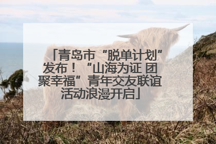 青岛市“脱单计划”发布！“山海为证 团聚幸福”青年交友联谊活动浪漫开启