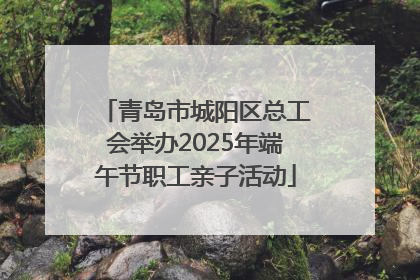 青岛市城阳区总工会举办2025年端午节职工亲子活动
