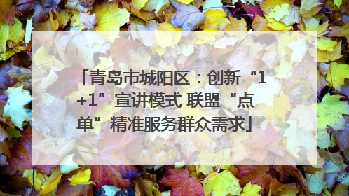 青岛市城阳区：创新“1+1”宣讲模式 联盟“点单”精准服务群众需求