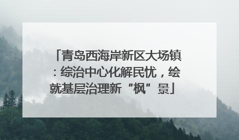 青岛西海岸新区大场镇：综治中心化解民忧，绘就基层治理新“枫”景