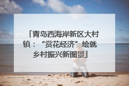 青岛西海岸新区大村镇：“赏花经济”绘就乡村振兴新图景