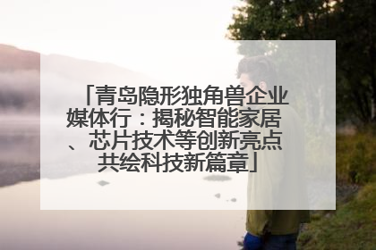 青岛隐形独角兽企业媒体行：揭秘智能家居、芯片技术等创新亮点 共绘科技新篇章