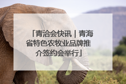 青洽会快讯｜青海省特色农牧业品牌推介签约会举行