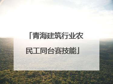 青海建筑行业农民工同台赛技能