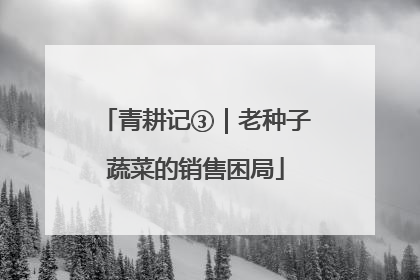 青耕记③｜老种子蔬菜的销售困局