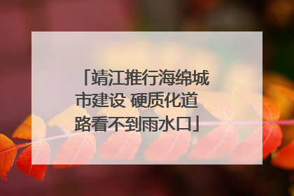靖江推行海绵城市建设 硬质化道路看不到雨水口