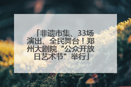 非遗市集、33场演出、全民舞台！郑州大剧院“公众开放日艺术节”举行