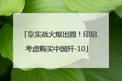 靠实战火爆出圈！印尼考虑购买中国歼-10