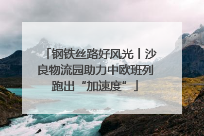 钢铁丝路好风光丨沙良物流园助力中欧班列跑出“加速度”