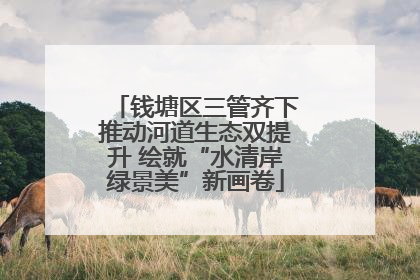 钱塘区三管齐下推动河道生态双提升 绘就“水清岸绿景美”新画卷