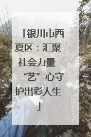 银川市西夏区：汇聚社会力量 “艺”心守护出彩人生