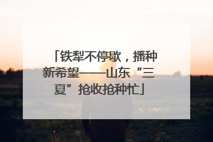 铁犁不停歇，播种新希望——山东“三夏”抢收抢种忙
