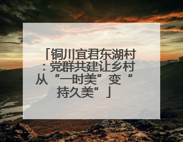 铜川宜君东湖村：党群共建让乡村从“一时美”变“持久美”