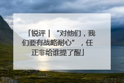 锐评｜“对他们，我们要有战略耐心”，任正非给谁提了醒