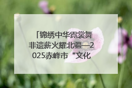 锦绣中华霓裳舞 非遗薪火耀北疆—2025赤峰市“文化和自然遗产日”非遗宣传展示活动纪实