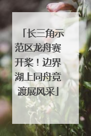 长三角示范区龙舟赛开桨！边界湖上同舟竞渡展风采