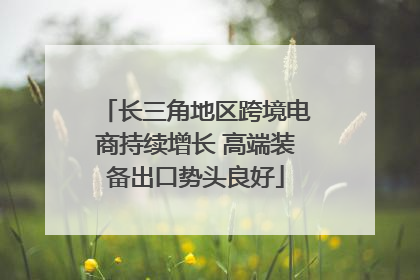 长三角地区跨境电商持续增长 高端装备出口势头良好
