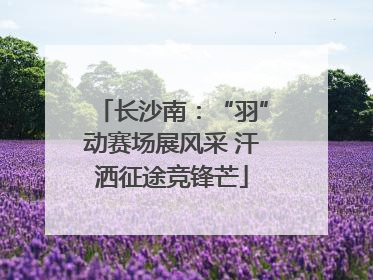 长沙南：“羽”动赛场展风采 汗洒征途竞锋芒