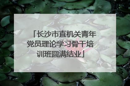 长沙市直机关青年党员理论学习骨干培训班圆满结业