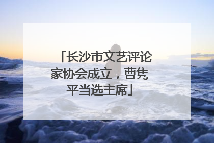 长沙市文艺评论家协会成立，曹隽平当选主席