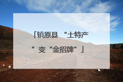 镇原县 “土特产”变“金招牌”
