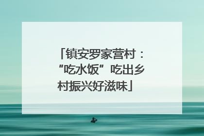 镇安罗家营村：“吃水饭”吃出乡村振兴好滋味