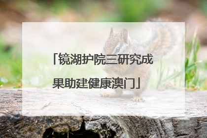 镜湖护院三研究成果助建健康澳门