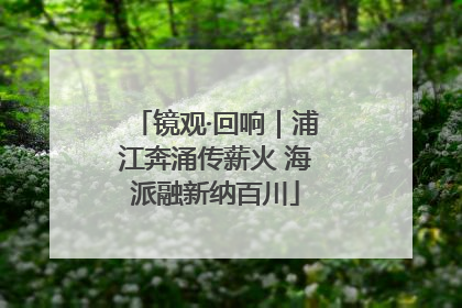 镜观·回响｜浦江奔涌传薪火 海派融新纳百川