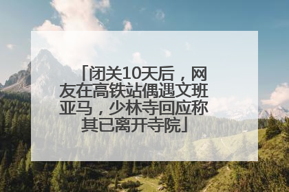 闭关10天后，网友在高铁站偶遇文班亚马，少林寺回应称其已离开寺院