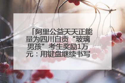 阿里公益天天正能量为四川自贡“玻璃男孩”考生奖励1万元：用键盘继续书写不设限的人生