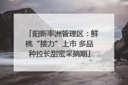 阳新率洲管理区：鲜桃“接力”上市 多品种拉长甜蜜采摘期