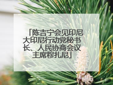 陈吉宁会见印尼大印尼行动党秘书长、人民协商会议主席穆扎尼