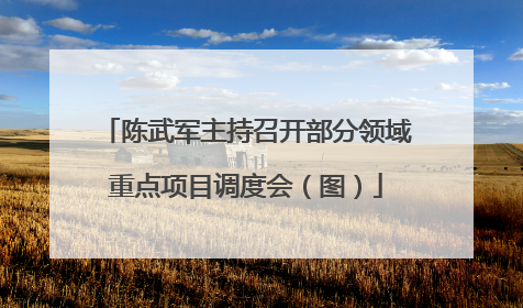陈武军主持召开部分领域重点项目调度会（图）