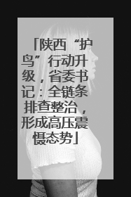陕西“护鸟”行动升级，省委书记：全链条排查整治，形成高压震慑态势